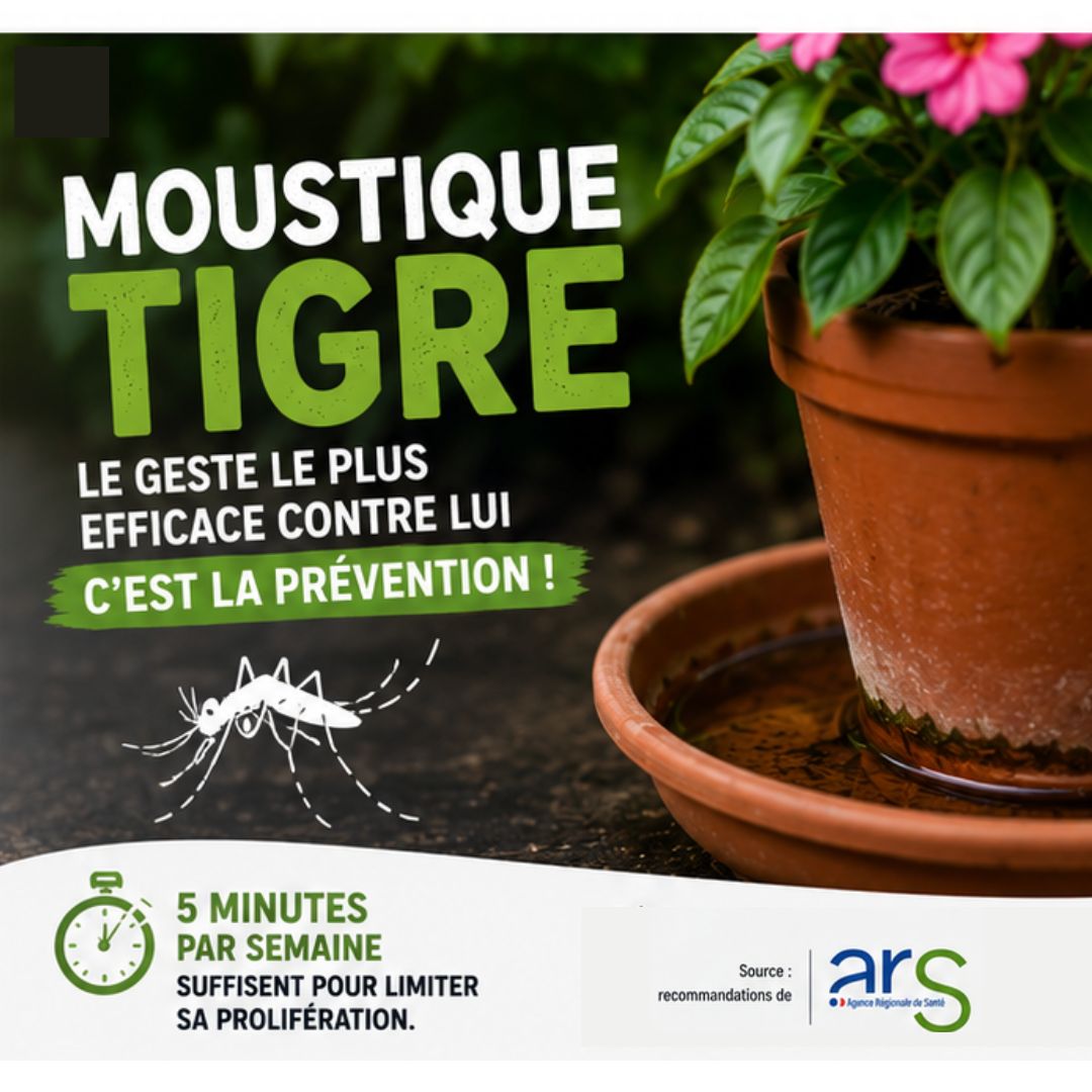 Design sans titre (12)